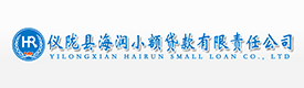 儀隴縣海潤小額貸款有限責任公司