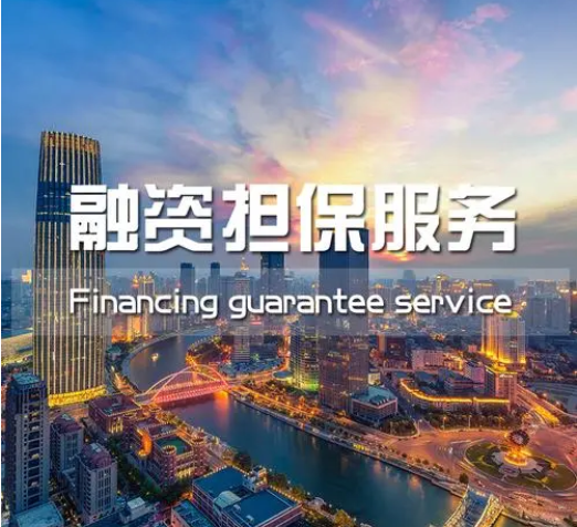 在中國(guó)特色金融發(fā)展道路上構(gòu)建融資擔(dān)保新格局